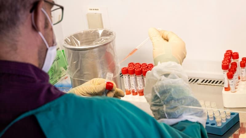 Covid: 11 cas de variant indien détectés sur un navire à La Réunion