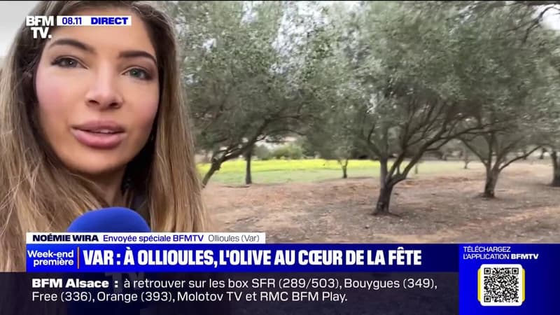 Dans le Var, la commune d'Ollioules organise la 33ème édition de la Fête de l'olivier thumbnail