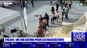 Fréjus: un job dating pour les maraîchers