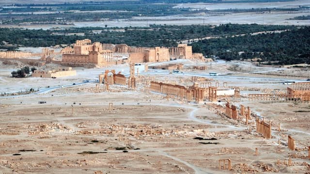 L'armée syrienne reprend à Daesh la citadelle de Palmyre - Vendredi 25 mars 2016