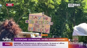 Loi Duplomb: le retour d’un pesticide controversé dans les débats