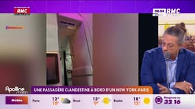 Une passagère clandestine à bord d'un vol New-York/Paris