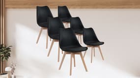 Ce lot de 6 chaises Scandinave revient à prix mini, les avis sont unanimes !
