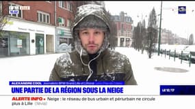 Les premiers flocons sont tombés dans le Nord-Pas-de-Calais