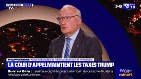 Droits de douane: "Il faut rester calme et ne pas réagir à chaque développement judiciaire", déclare Philippe Étienne, ancien ambassadeur français