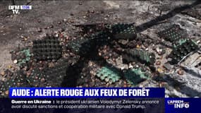 Alerte rouge aux feux de forêt dans l'Aude: une ferme totalement ravagée par les flammes