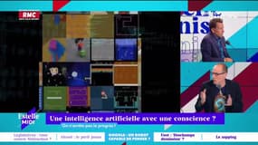 C’est quoi le progrès ? : Une intelligence artificielle avec une conscience - 14/06