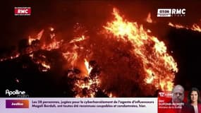 Record de températures: Il n'a jamais fait aussi chaud sur Terre qu'en 2023 !