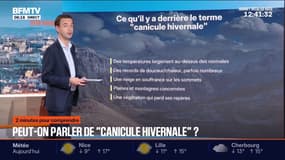 2 MINUTES POUR COMPRENDRE - Face au redoux, peut-on parler de "canicule hivernale"?