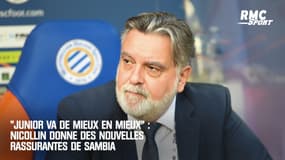 "Junior va de mieux en mieux" : Nicollin donne des nouvelles rassurantes de Sambia touché par le coronavirus