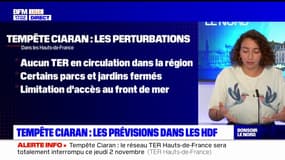 Tempête Ciaran: à quoi s'attendre dans les Hauts-de-France? 