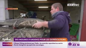 Huîtres interdites: le secrétaire d'Etat à la Mer promet des aides pour soutenir les ostréiculteurs