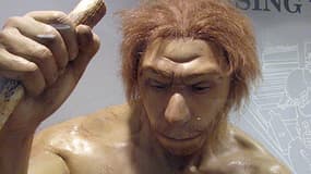 Sculpture représentant un homme de Néandertal au musée d'anhropologie de l'université du Nouvel Mexique.