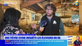 Fièvre catarrhale ovine: les éleveurs des Alpes-Maritimes inquiets