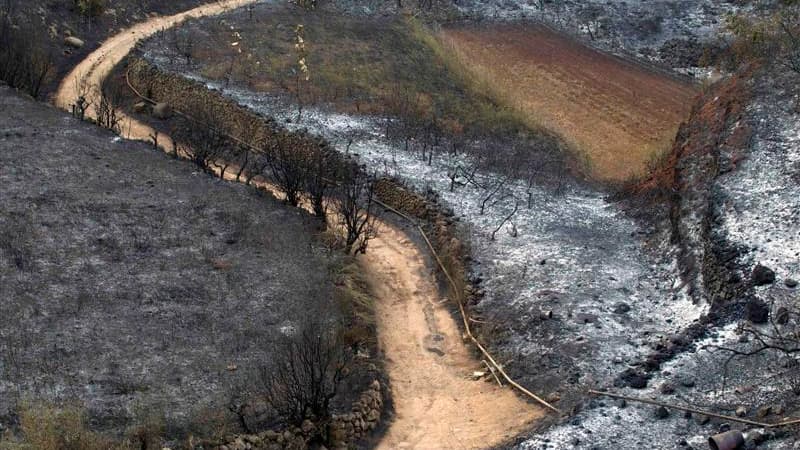 Ravages provoqués par des feux de forêt à El Tanque, sur l'île espagnole de Ténérife. Plus de 4.000 personnes ont été évacuées de leurs domiciles de l'archipel espagnol des Canaries, au large du Maroc, où des incendies attisés par la canicule et les forts