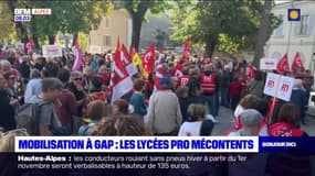 Gap: les professeurs des lycées professionnels mobilisés contre la réforme