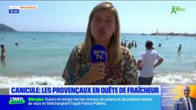 JT du Sud du samedi 21 juin