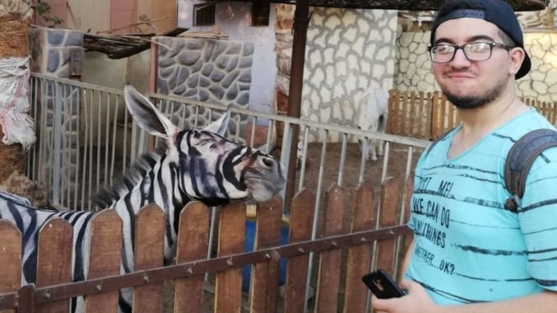 Mahmoud A. Sarhan dans le jardin municipal du Caire, près de l'âne grimé en zèbre. 