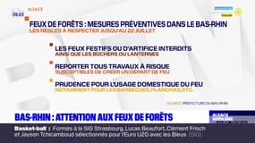 Bas-Rhin: des mesures préventives contre les feux de forêt