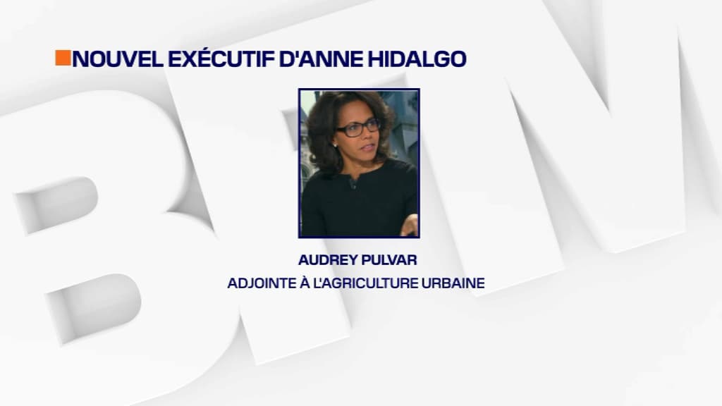Audrey Pulvar Audrey Pulvar