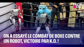 On a essayé le combat de boxe contre un robot, victoire par K.O. !