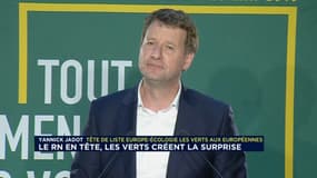 Yannick Jadot, tête de liste EELV, au soir du 26 mai 2019