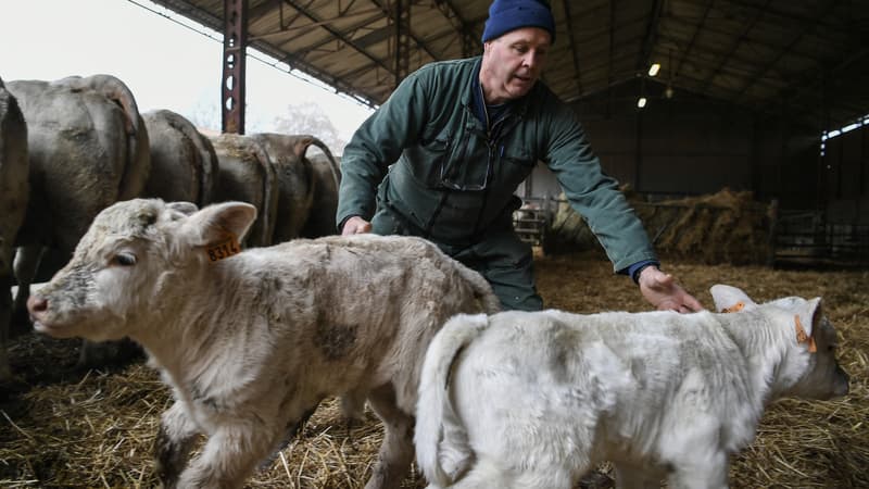 Crise des agriculteurs: les droits de succession sont-ils trop élevés?
