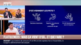 LE CONSEIL DU DOC — Flatulences : d’où viennent nos pets ?