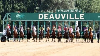 Les pronos hippiques du 12 janvier 2022