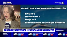 Grève à la SNCF: les vacanciers impactés à la Part-Dieu
