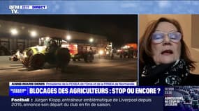 Annonces de Gabriel Attal: "On n'a pas toutes les réponses aux questions qu'on avait", estime Anne-Marie Denis (présidente de la FRSEA de Normandie)