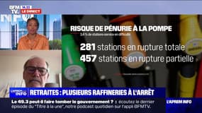 "Les dépôts sont pleins, donc on a trois mois de consommation", rassure René-Jean Souquet-Grumey face à la crainte d'une pénurie de carburants 