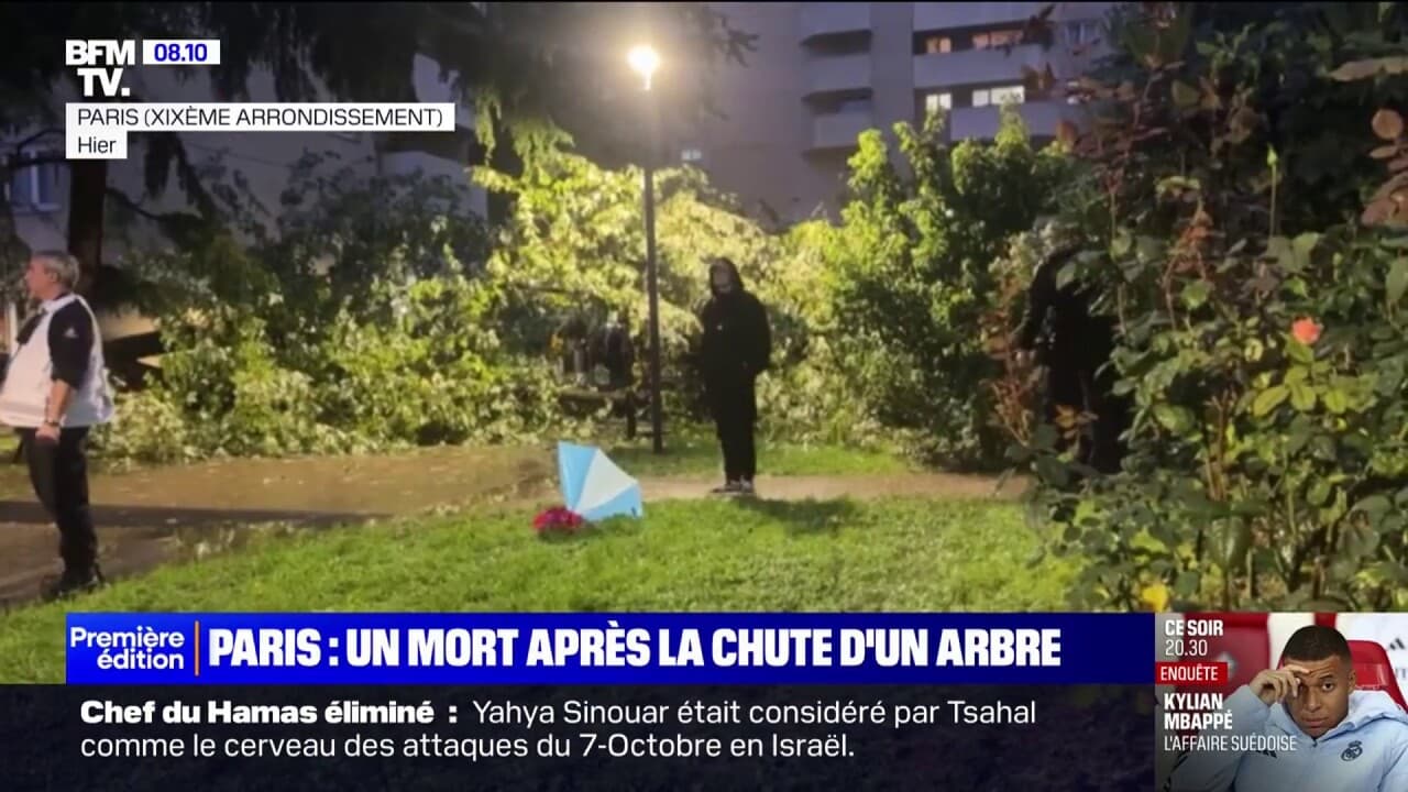 Paris un père de famille mort écrasé par la chute d'un arbre dans le