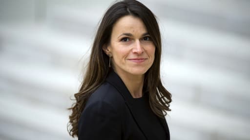 Pour justifier les vacances d'Aurélie Filippetti à l'île Maurice, l'Elysée écrit : « la ministre de la Culture n'est pas dans un rythme d'urgence quotidienne, à l'inverse du ministre de l'Intérieur, par exemple ».