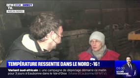 Comment les fermes s'organisent dans le Nord face à la vague de froid ? 