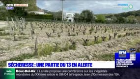 Le manque de pluie dans les Bouches-du-Rhône inquiète les agriculteurs