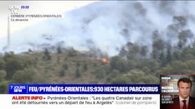 Fire in the Pyrénées-Orientales: at least 930 hectares covered by fire