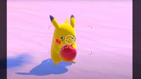 Premières images du nouveau jeu Pokémon Snap