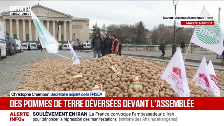 Colère agricole: les Parisiens invités par les agriculteurs à se servir dans les 20 tonnes de pommes de terre déversées devant l'Assemblée nationale