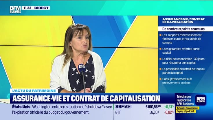 L'actu du patrimoine : Assurance-vie et contrat de capitalisation - 01/10