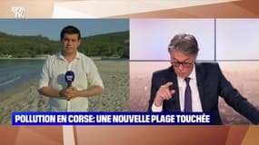 Pollution aux hydrocarbures en Corse: une nouvelle plage touchée - 14/06