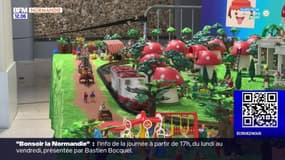 "C'est une passion qui nous anime": les Playmobil à l'honneur à Rouen ce week-end