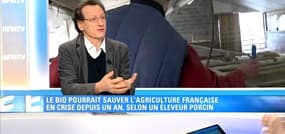 Crise agricole: le bio pourrait créer 600.000 emplois en France