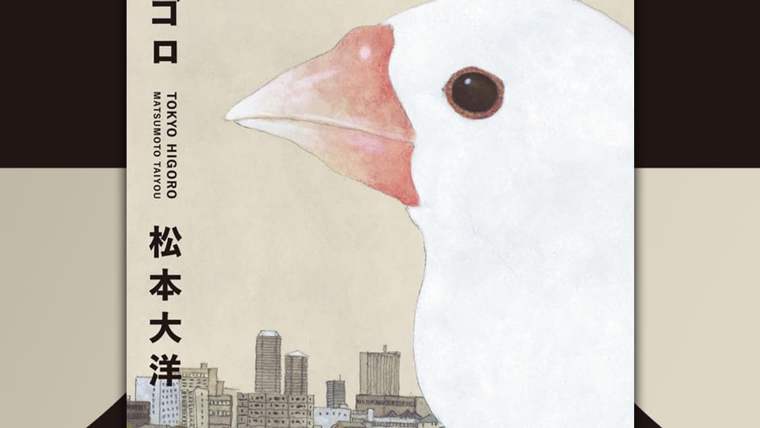 Couverture de "Tokyo Higoro" de Taiyou Matsumoto