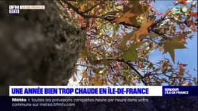 Île-de-France: une année 2022 marquée par des fortes chaleurs
