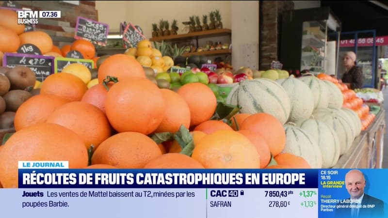 Récoltes de fruits catastrophiques en Europe