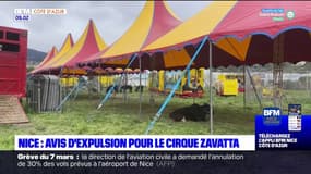 Nice: avis d'expulsion pour le cirque Zavatta