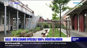 Lille: des cours de récréation végétalisées