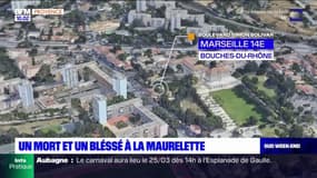 Marseille: un mort et un blessé dans une fusillade près de la cité de la Maurelette