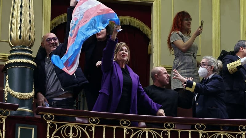 Des militants après le vote en faveur d'un projet de loi sur les droits des personnes transgenres au Congrès à Madrid, le 22 décembre 2022.